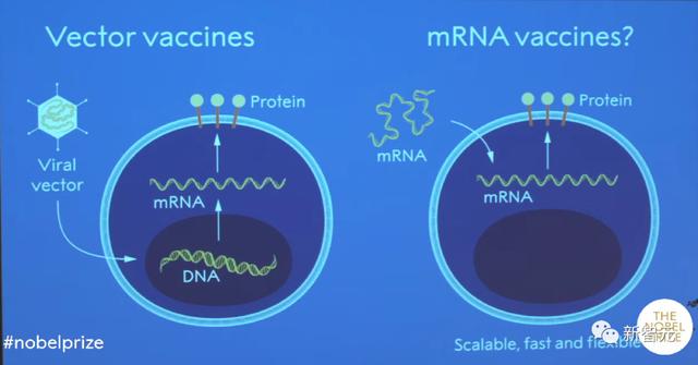 ChatGPT准确预测mRNA疫苗，2023年诺贝尔生理学或医学奖众望所归新智元2023-10-04 16:22北京新智元2023-10-04 16:22北京