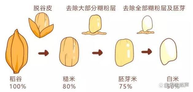 如何在数字化时代保持竞争力？