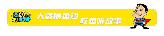 国内大厂围攻ChatGPT，‘换皮AI’背后真相，顶尖人才为何逃离？