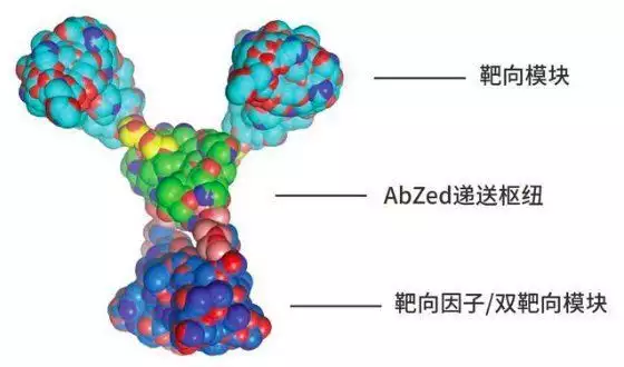 HER2靶点巨变，顶尖学者回国创业，中国新药革命浪潮来袭？